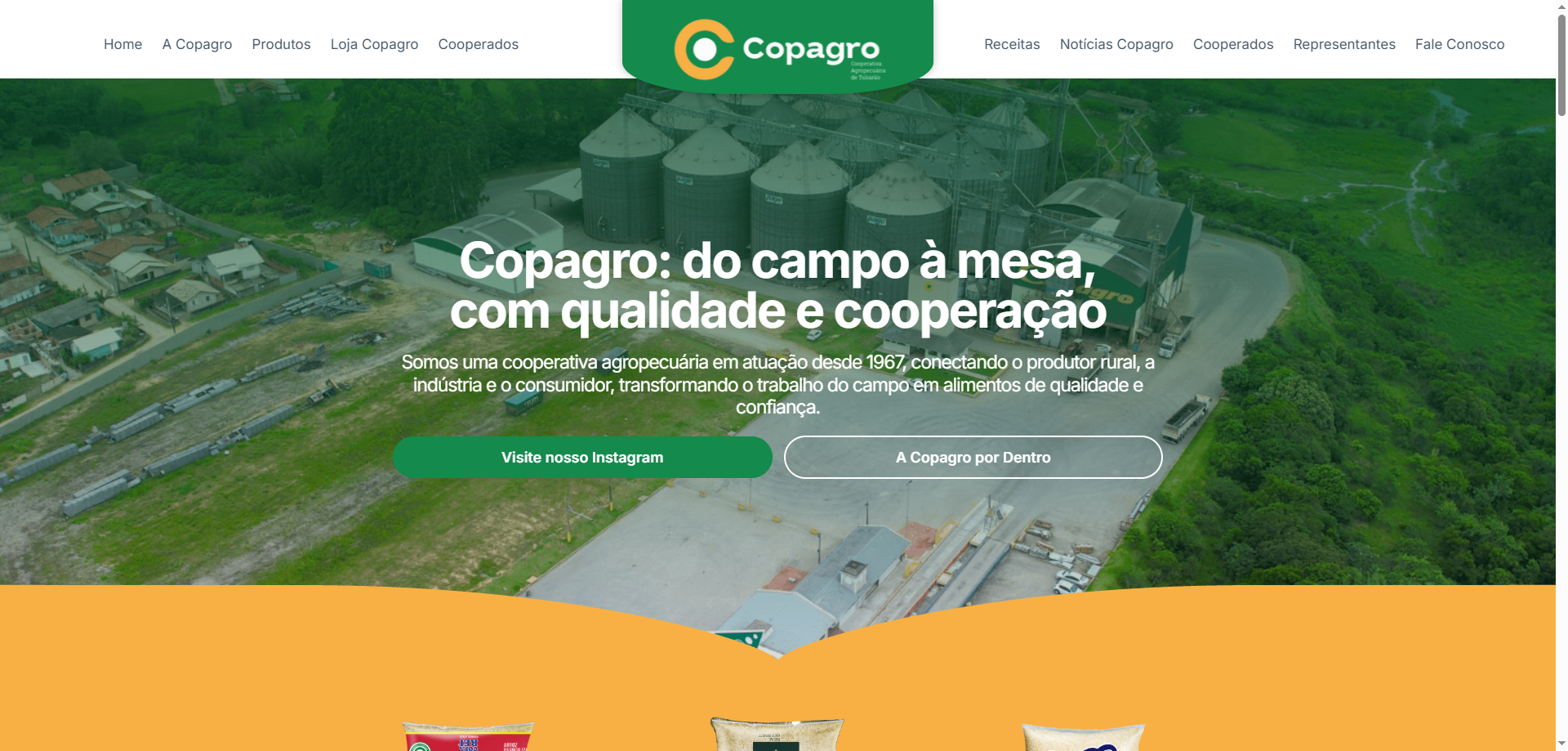 Site institucional para cooperativa de arroz Copagro criado pela Agência Spin em Santa Catarina